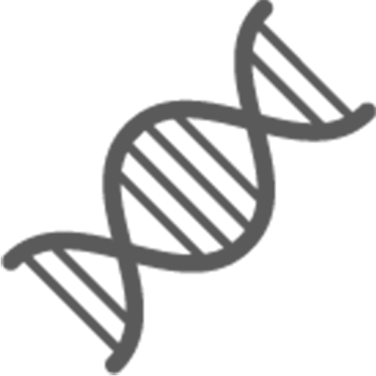 조직 검사 실시